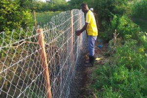 Kenya Fence Project