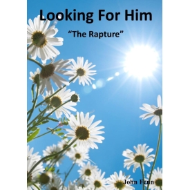 Looking For Him Looking For Him