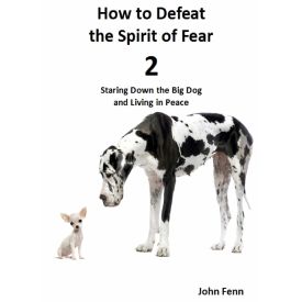 How to Defeat the Spirit of Fear scaled