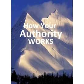 How your authority works (2) How your authority works scaled