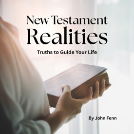 NT Realities copy